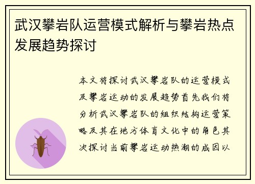 武汉攀岩队运营模式解析与攀岩热点发展趋势探讨