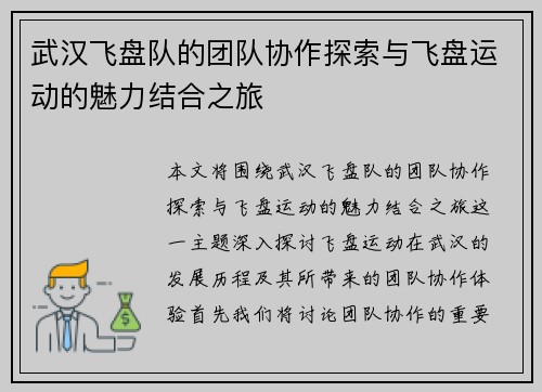 武汉飞盘队的团队协作探索与飞盘运动的魅力结合之旅