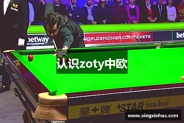 认识zoty中欧